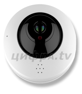 Видеокамера IP Wi-Fi Divisat фишай (FishEye) DVI-DF121