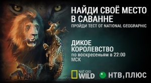 НТВ-ПЛЮС: «Дикое Королевство» на телеканале Nat Geo Wild